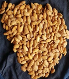 Gurbandi Almonds (Afghan Almonds)